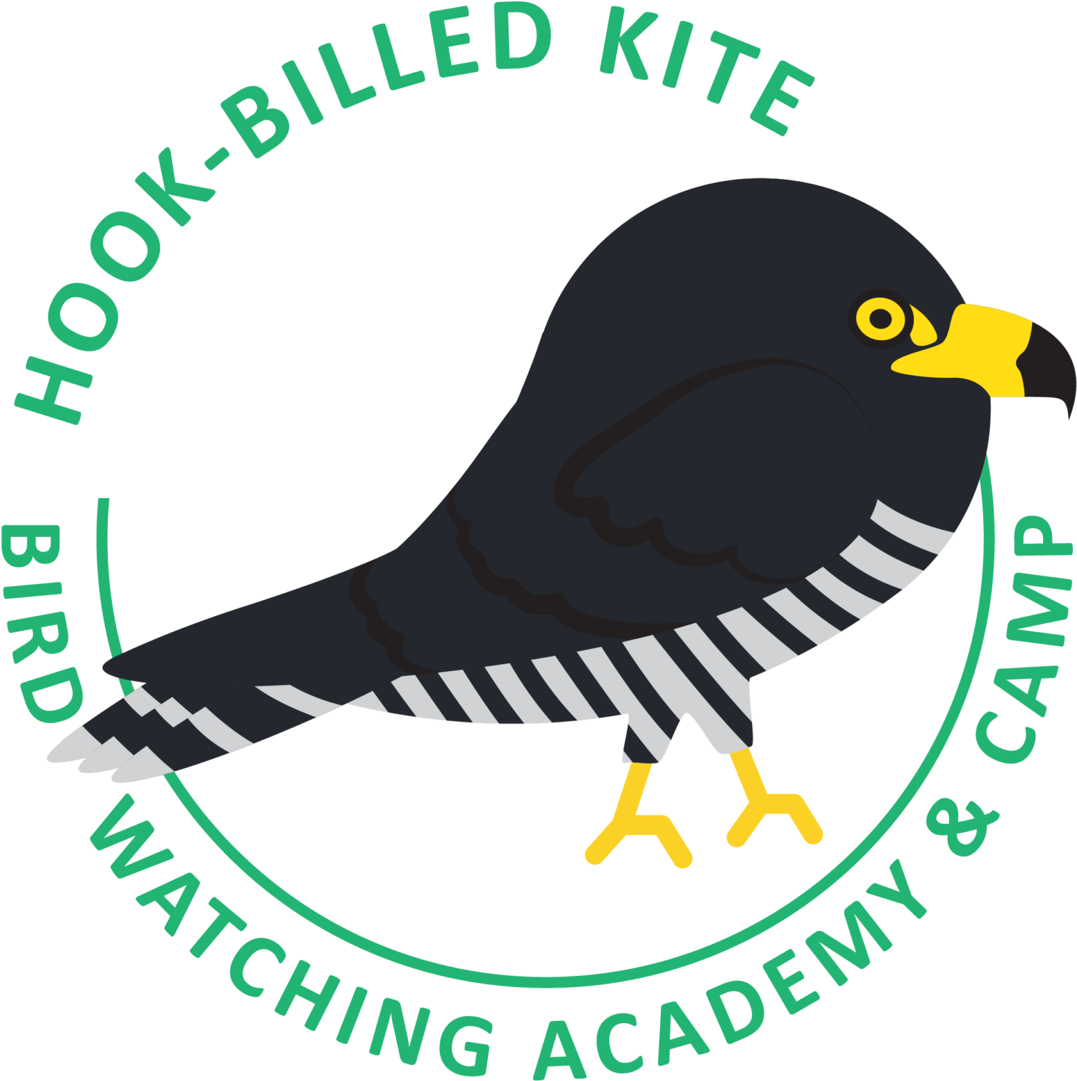 Hookbilled Kite Identification Perching Bird Clipart Full Size Clipart (5562865) PinClipart