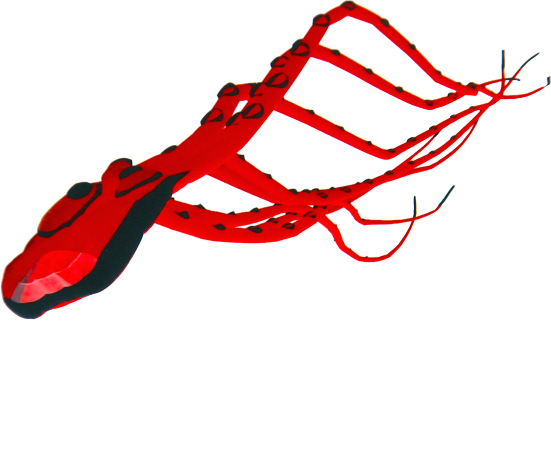 Clip Art - Png Download (1170x913), Png Download