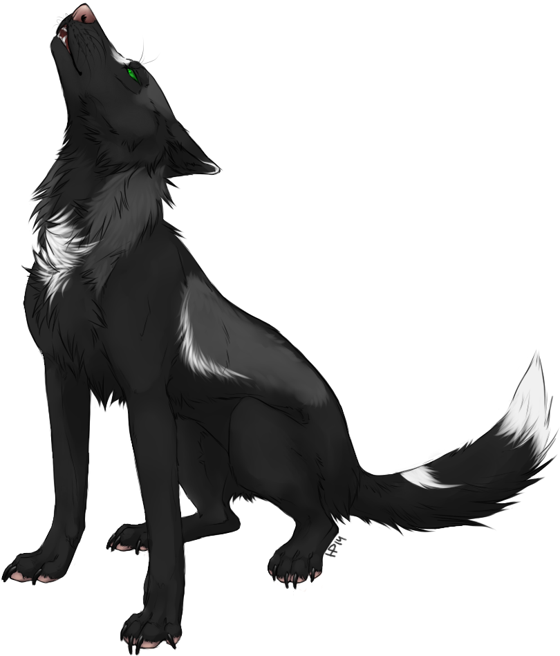 Drawing Wolfs Growl Transparent Png Clipart Free Download - Colorful Anime Wolves (1000x1000), Png Download