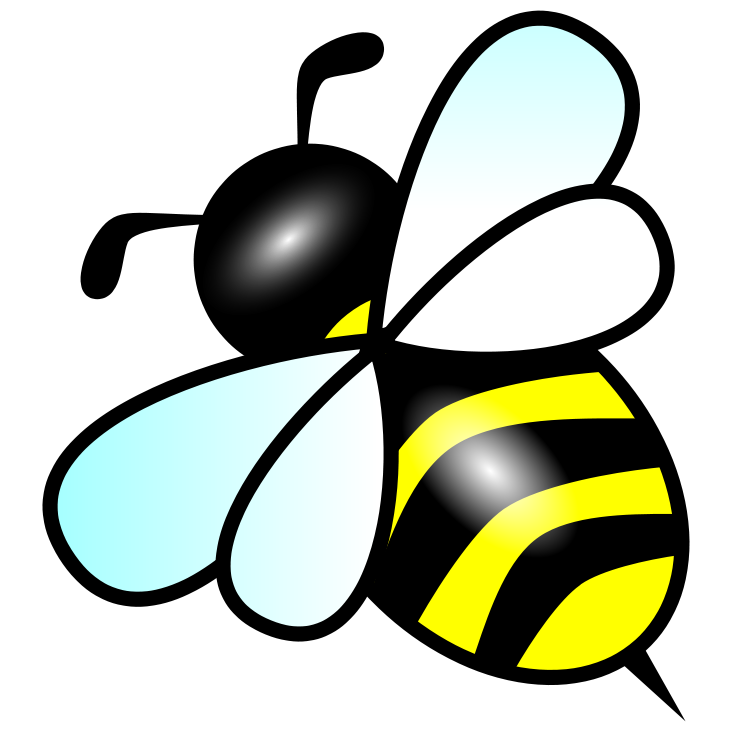 Bee Clip Art - Bumble Bee Clipart - Png Download (800x800), Png Download