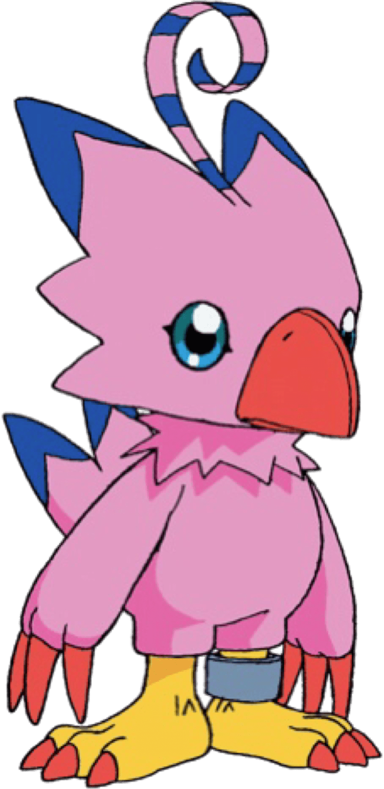 Digimon Sora And Biyomon Clipart (786x1616), Png Download