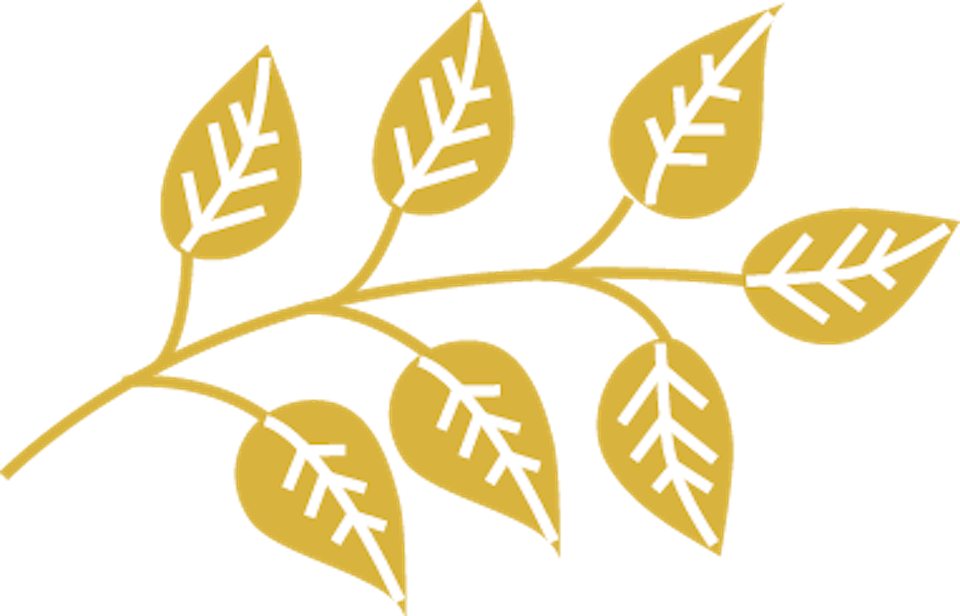 Lifestyle Clipart Joy - Motif - Png Download (960x616), Png Download