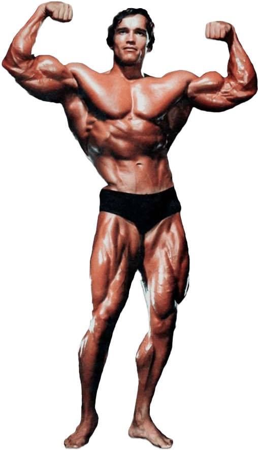 Arnold Schwarzenegger Bodybuilding Png Clipart - Arnold Schwarzenegger Png Transparent Png (820x965), Png Download