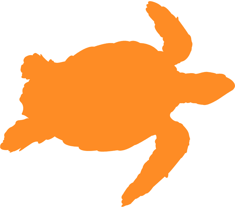 Yellow Outline Of A Turtle Clipart (800x702), Png Download