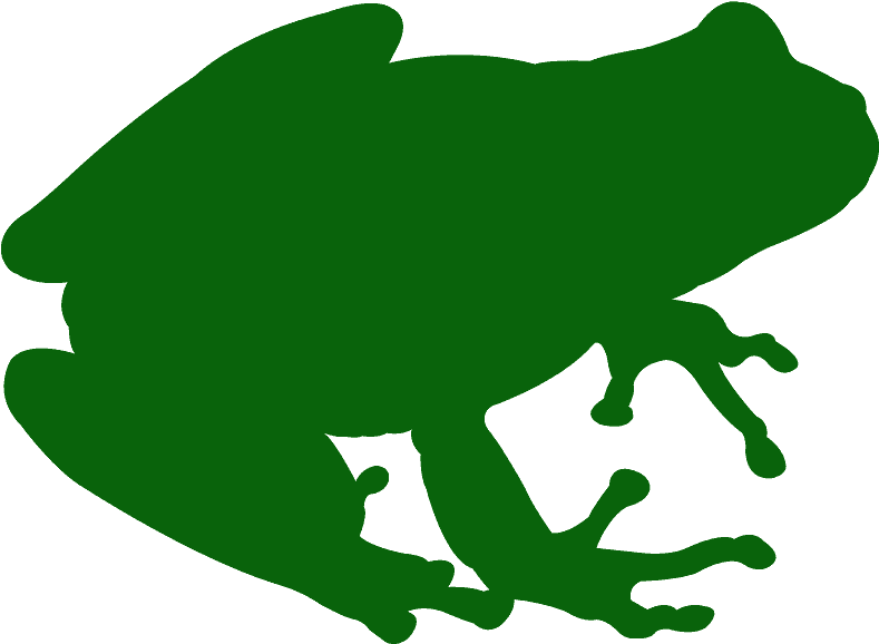 Tree Frogs Clipart - Png Download (800x588), Png Download