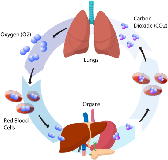 Breathworks Graphic - Cartoon Clipart (600x600), Png Download