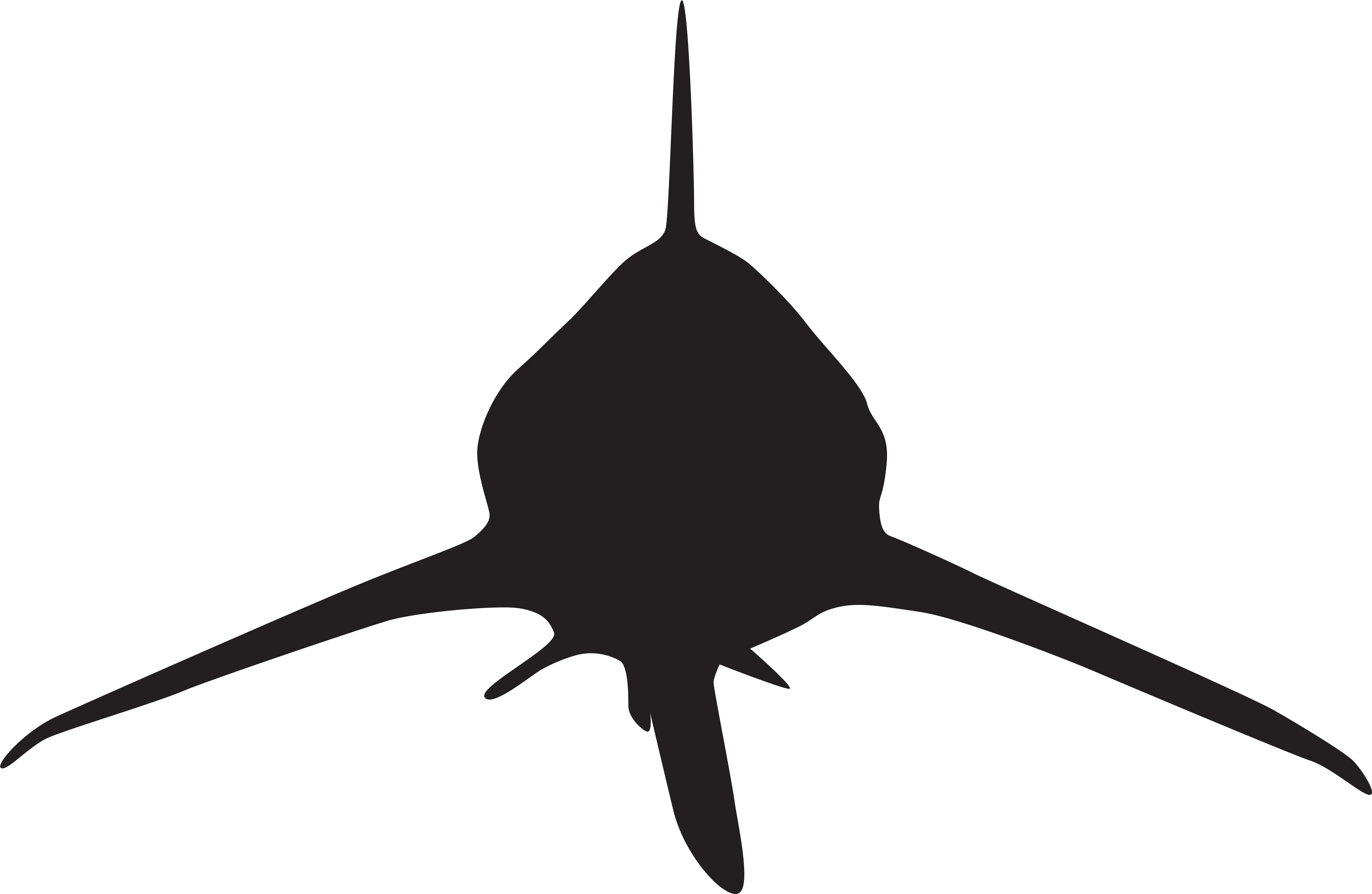 Shark Clipart Silhouette - Sharks Silhouette Png Transparent Png (8000x5209), Png Download