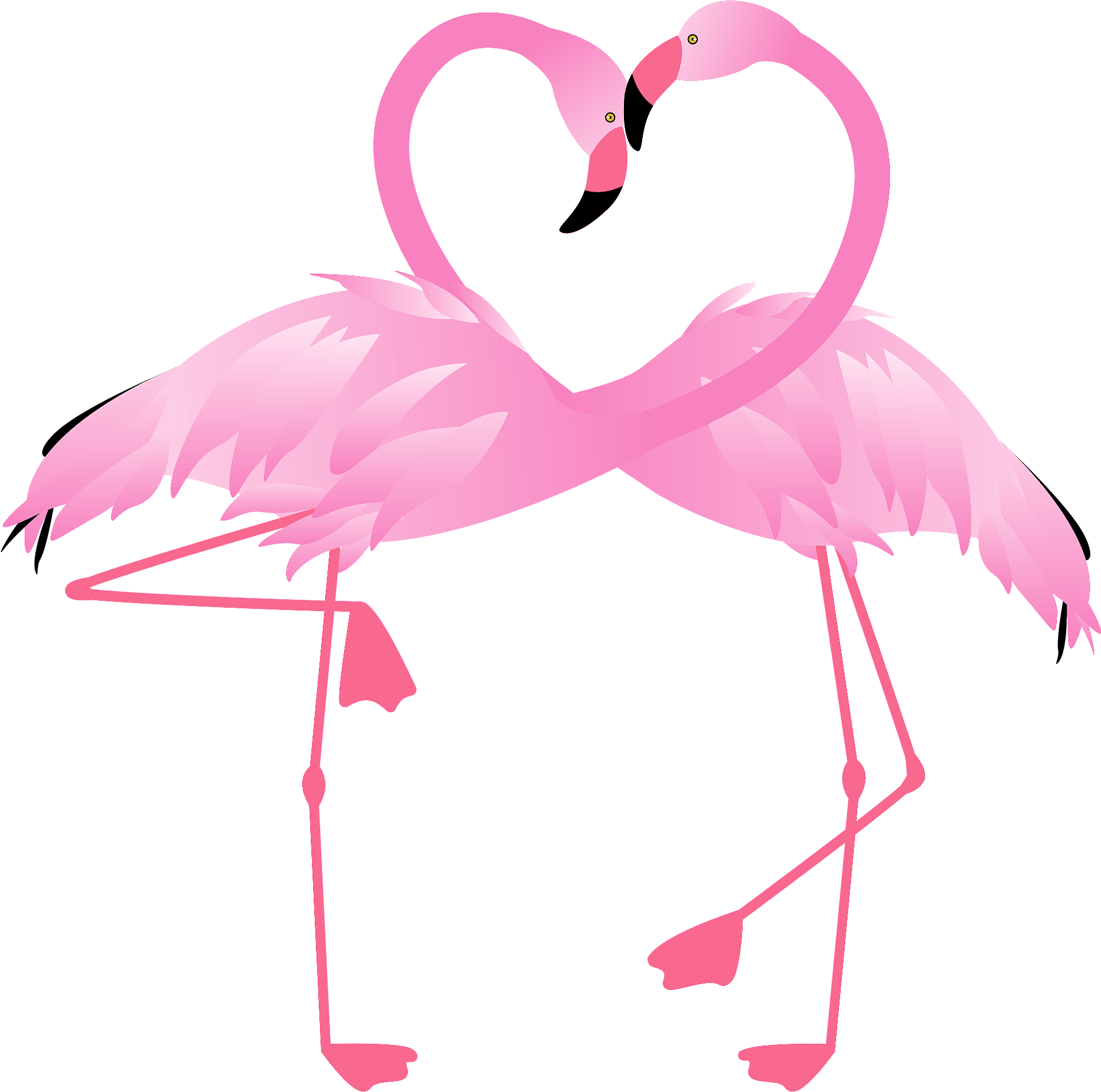Greater Flamingo Clipart (1920x1903), Png Download