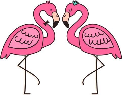 #flamingo #flamingos #birds #bird - Greater Flamingo Clipart (500x500), Png Download