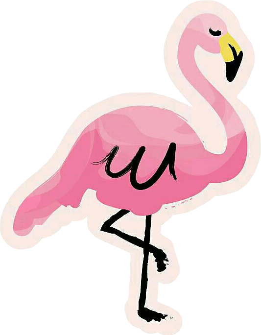 #flamingo #pink #summer #summertime #tropical#sticker - Cartoon Clipart (533x684), Png Download