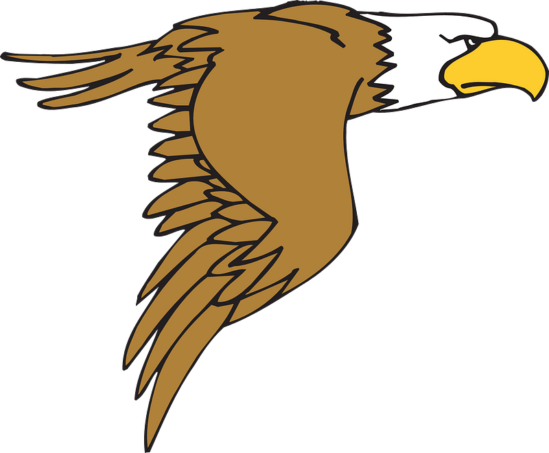 Flying Cartoon Eagle Clipart - Eagle Clip Art - Png Download (800x659), Png Download