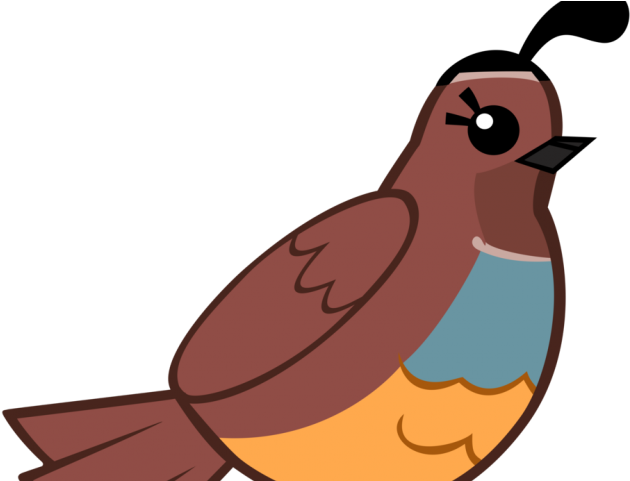 Quail Clipart - Png Download (640x480), Png Download