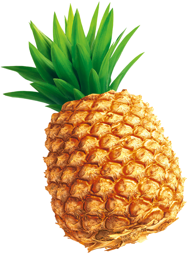 Tempting Pineapple Png Download - Pineapple Illustration Png Clipart (800x1013), Png Download