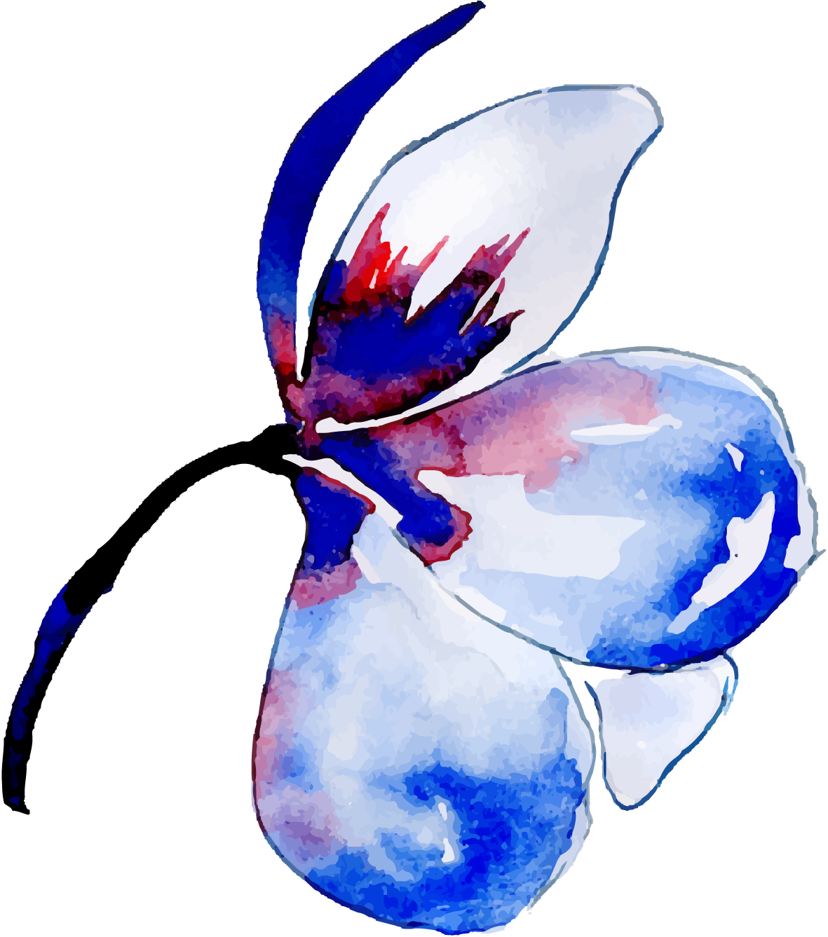Watercolor Paint Clipart (1181x1337), Png Download
