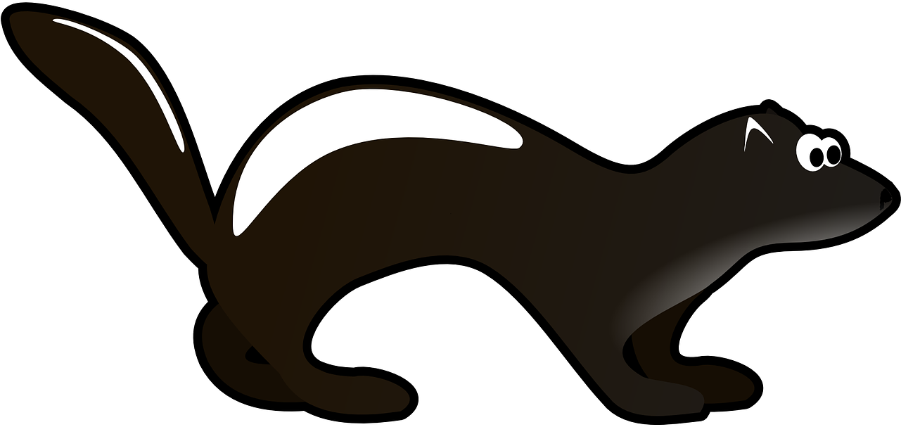 Ferret Clip Art - European Polecat - Png Download (1280x640), Png Download
