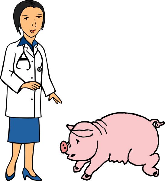 Clipart Of Veterinary, Pig At And Docotor , Png Download - Influenza Transparent Png (546x598), Png Download