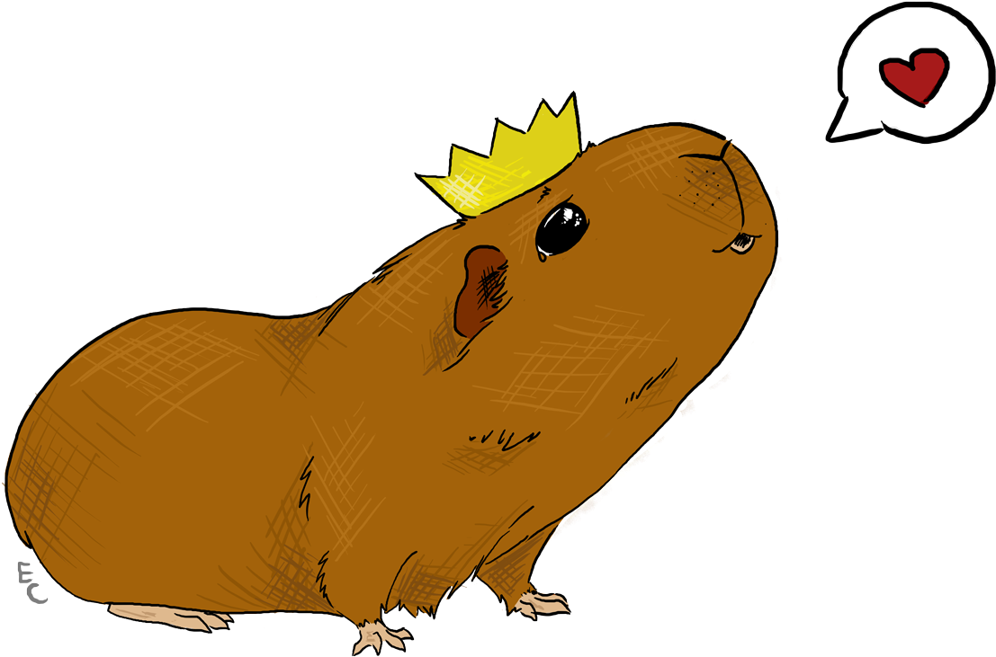 Cartoon Clipart (1200x800), Png Download