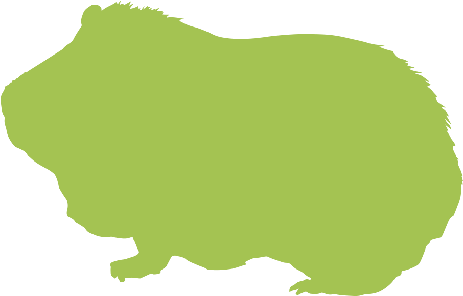Guinea Pigs » - Transparent Guinea Pig Silhouette Clipart (1920x1080), Png Download