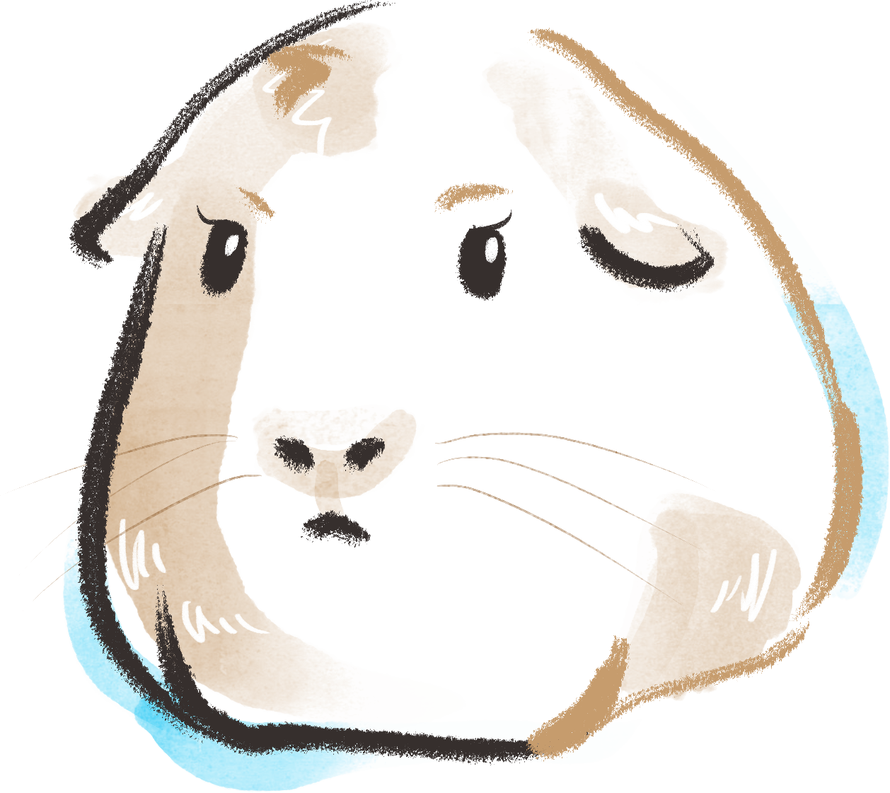 Cartoon Clipart (1258x1121), Png Download