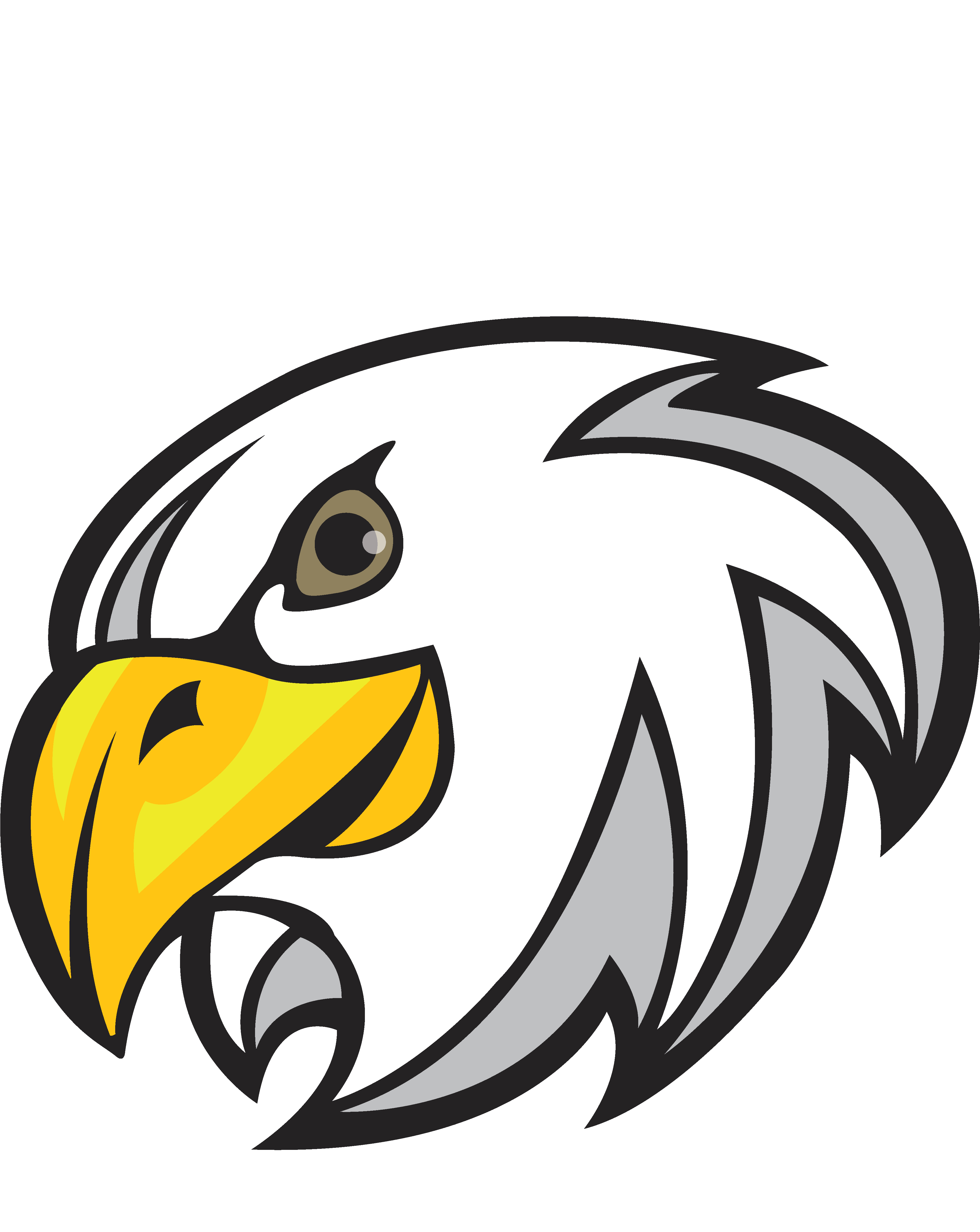 Logo Ohio Hawks Softball Clipart (5067x4844), Png Download