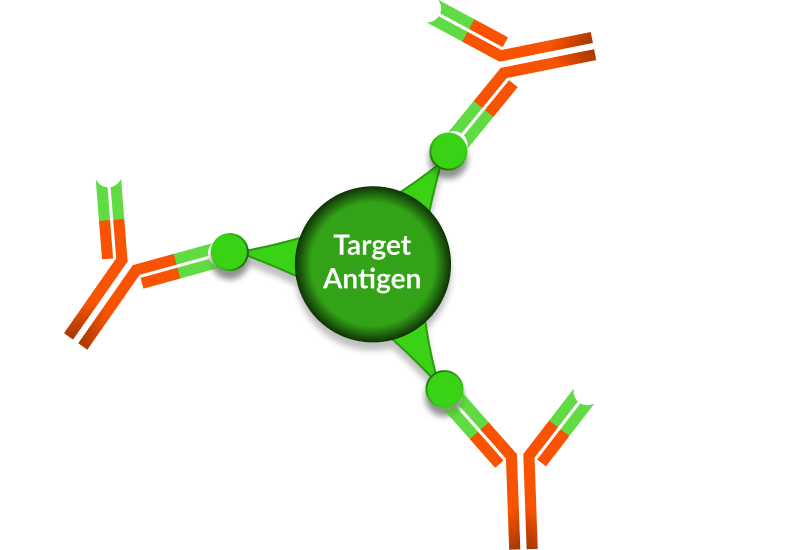 Clip Art - Png Download (812x550), Png Download