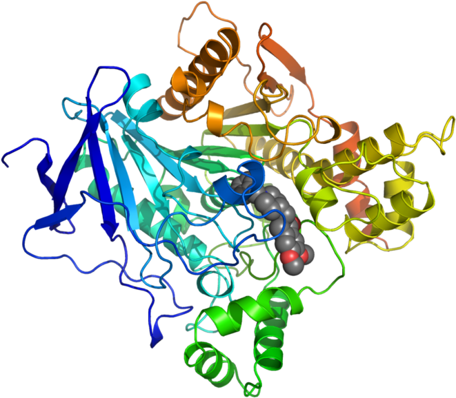 Ache Inhibited By Donepezil 1eve - Protein Structure Of Acetylcholinesterase Clipart (689x599), Png Download