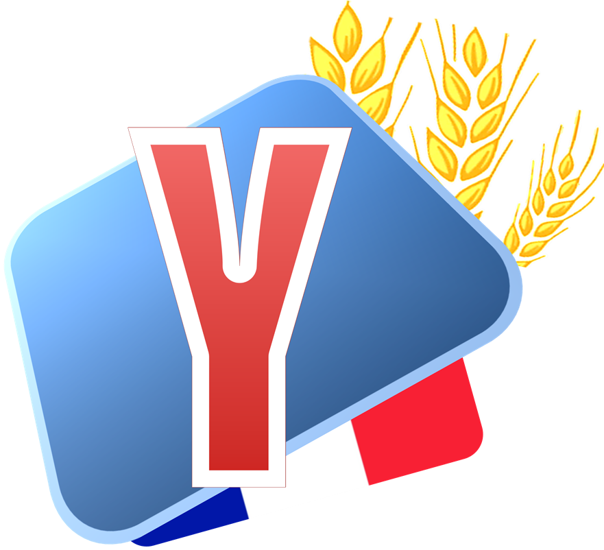 Graphic Design Clipart (881x802), Png Download