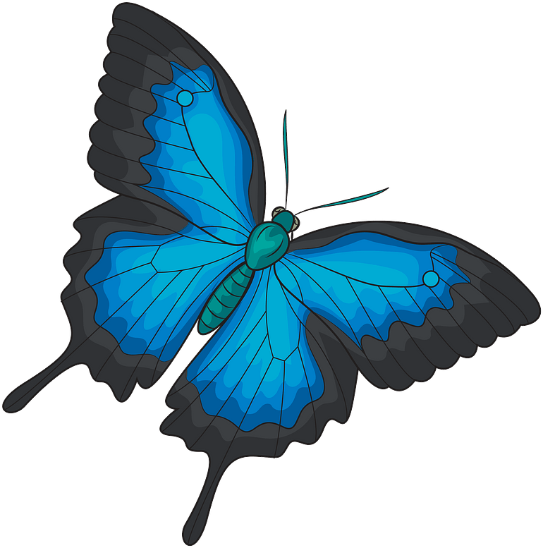 Ulysses Butterfly Clipart - Ulysses Butterfly - Png Download (795x800), Png Download
