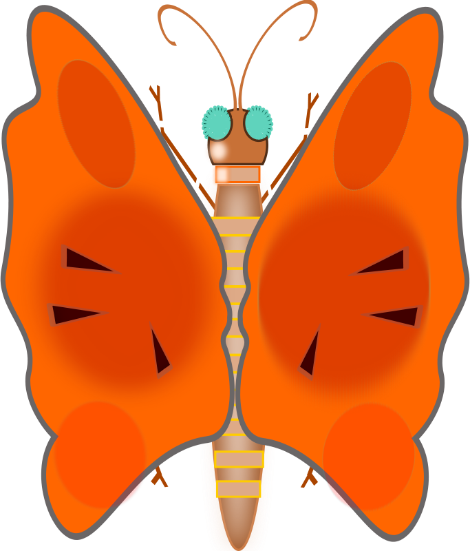 Butterfly - Clip Art - Png Download (683x800), Png Download