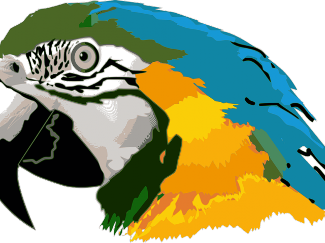 Macaw Clipart (640x480), Png Download