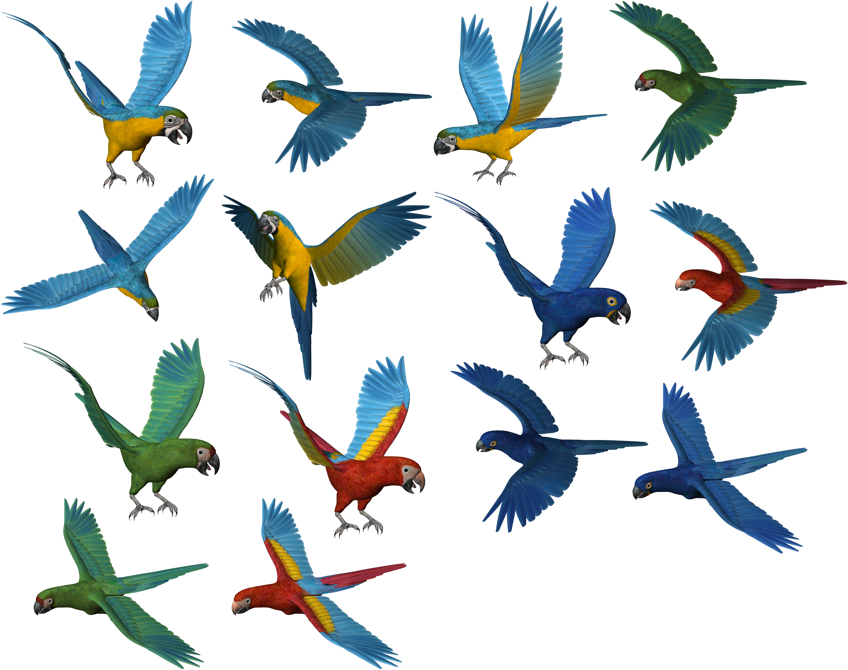 Parrot Clipart Picsart Png - Parrots Transparent Png (2980x2434), Png Download
