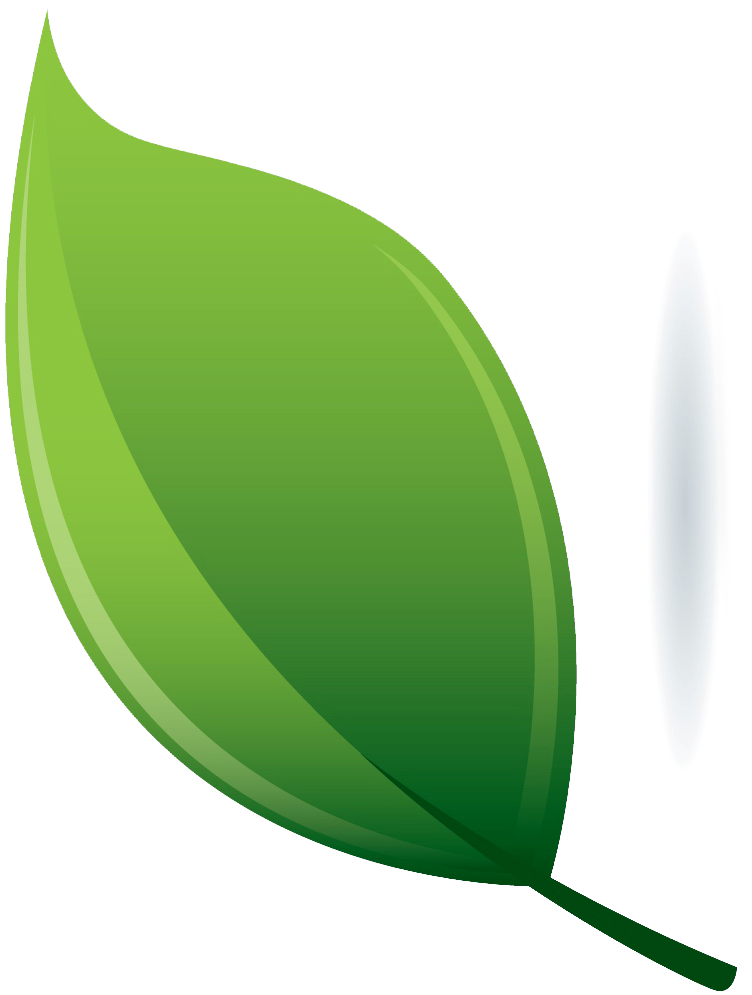 Clip Art - Png Download (752x995), Png Download