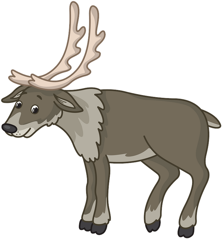 Reindeer Clipart - Cartoon - Png Download (743x800), Png Download