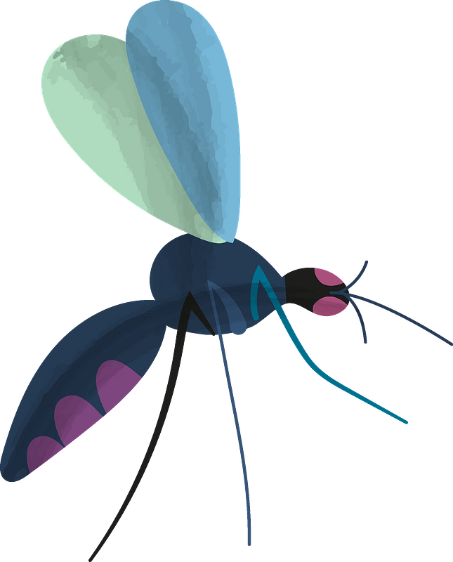 Mosquito Clipart - Net-winged Insects - Png Download (645x800), Png Download