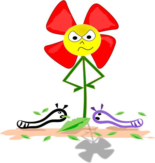 Lagartas Clip Art Spring - Png Download (600x600), Png Download