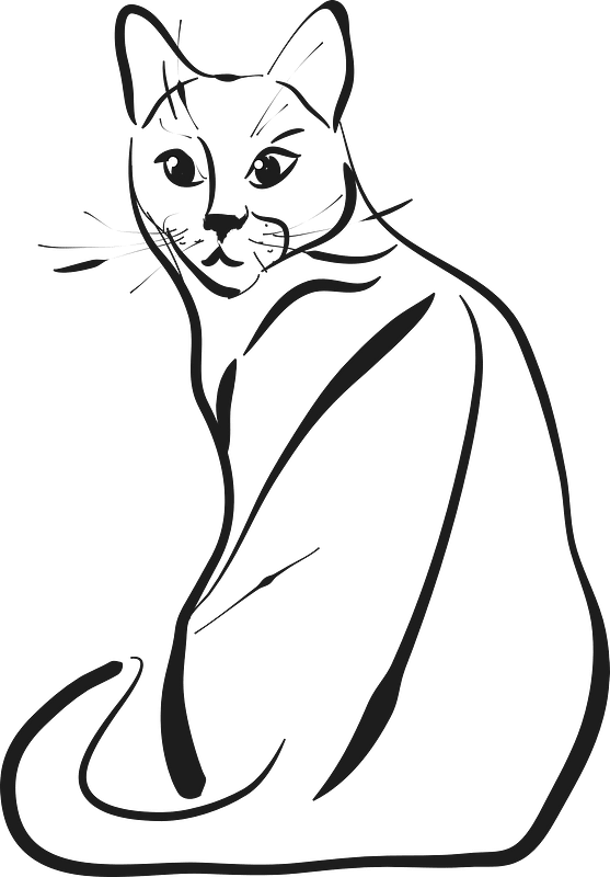 Drawn Cat Clipart - Facil Dibujos De Gatos A Lapiz - Png Download (557x800), Png Download