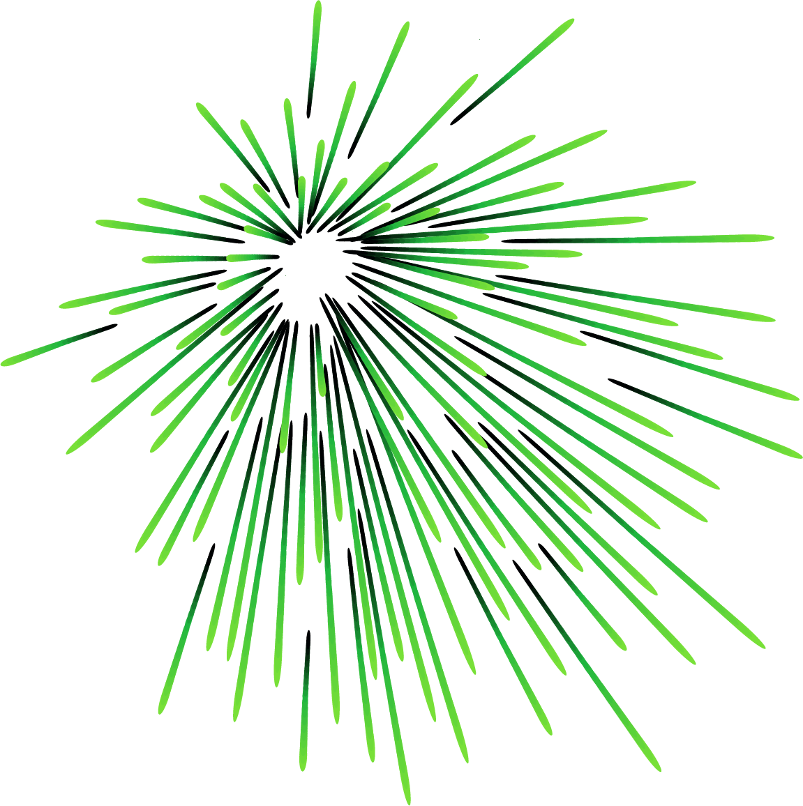 Loblolly Pine Clipart (1151x1156), Png Download