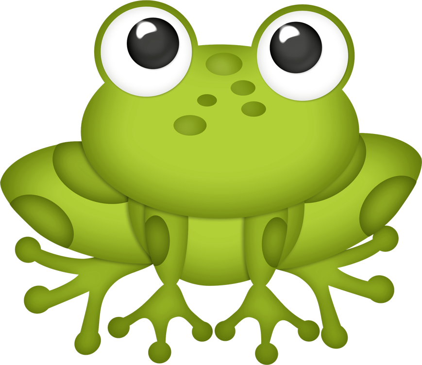 Frog Drawing Clip Art - Frog Eyes Cartoon - Png Download (869x752), Png Download