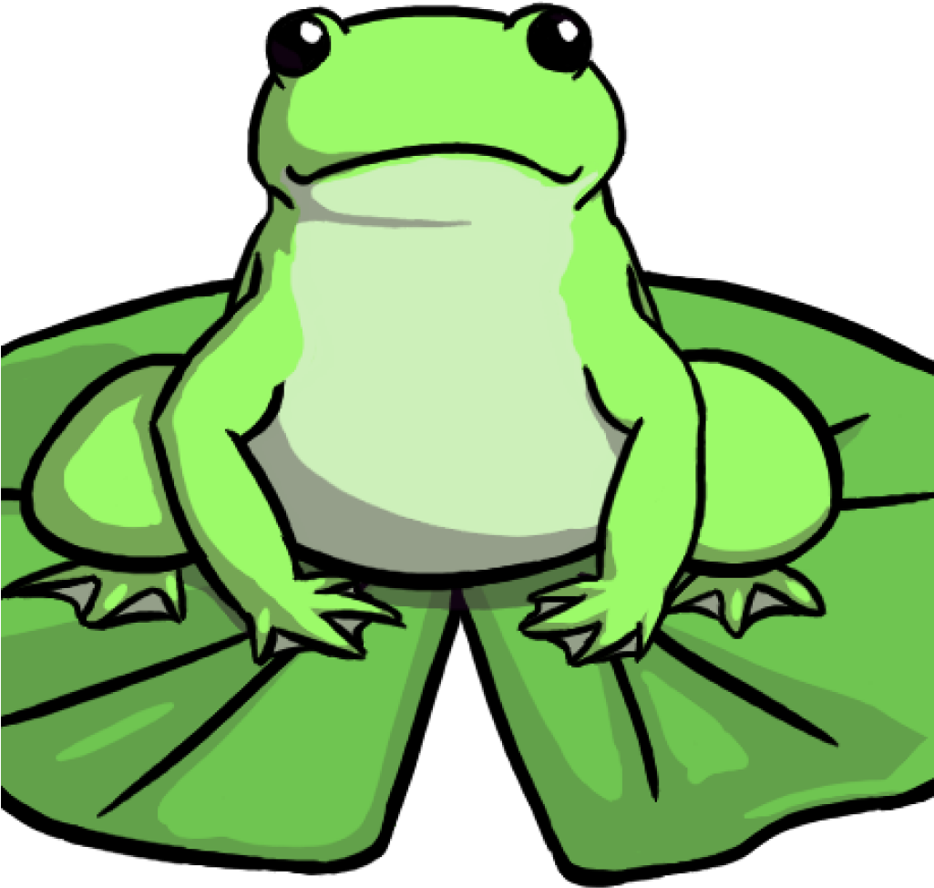 Lily Pad Clipart Image Of Frog On Lily Pad Clipart - Drawing Of A Frog On A Lily Pad - Png Download (1025x974), Png Download