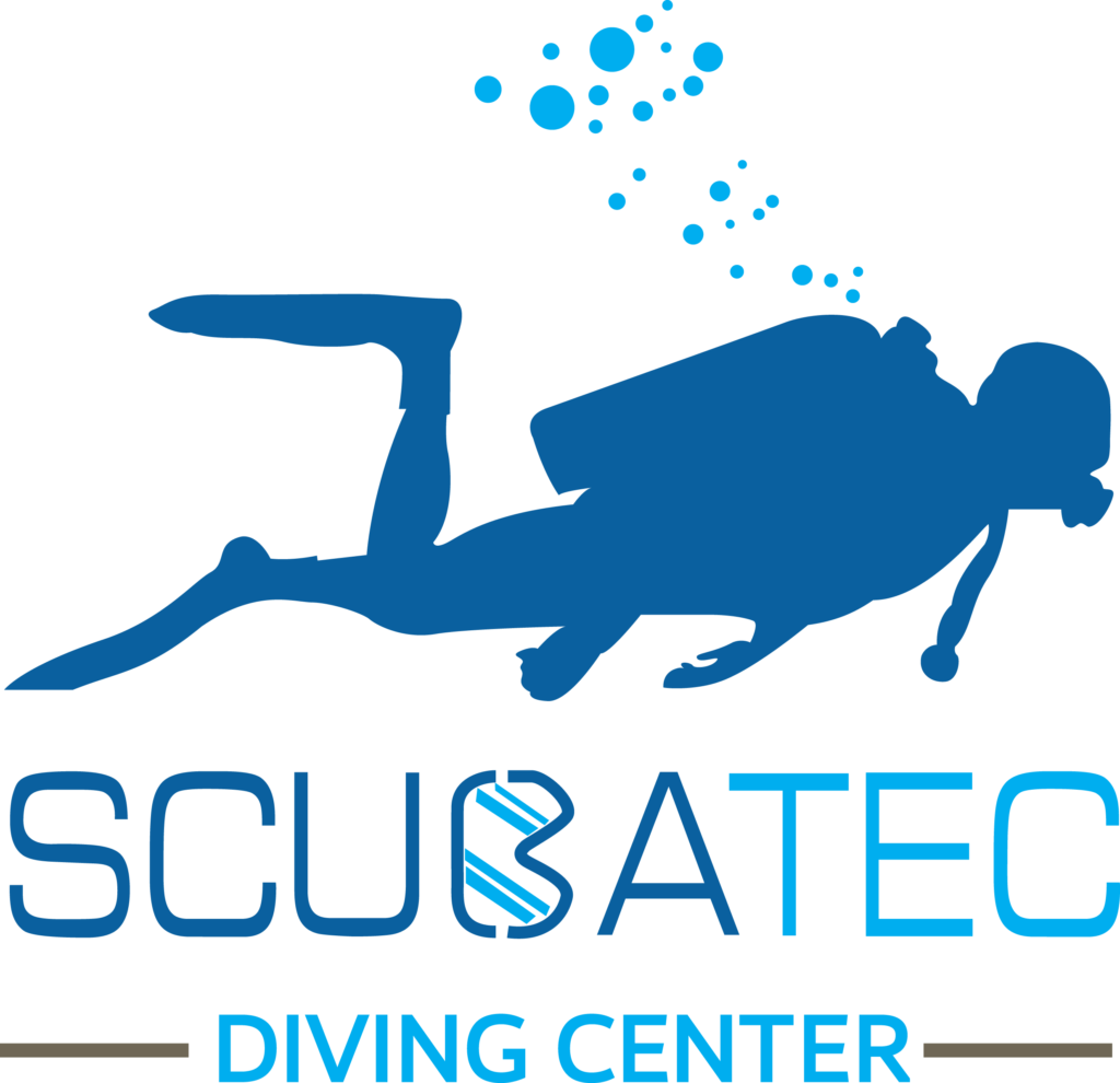 Clip Art - Png Download (1024x990), Png Download