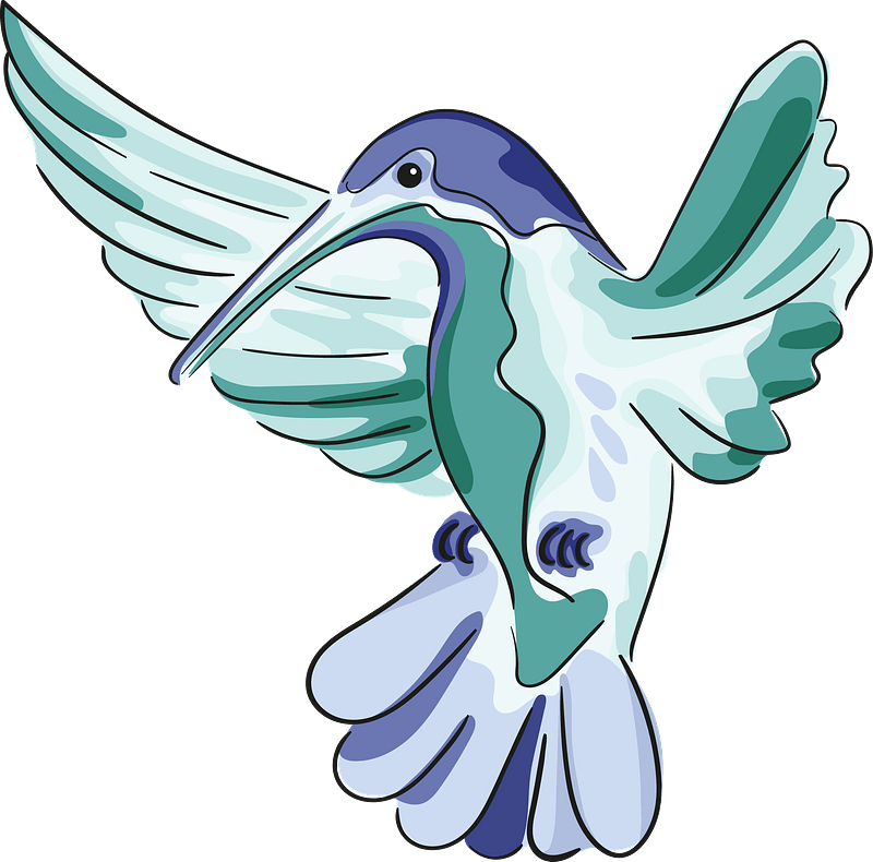 Drawn Hummingbird Clipart - Transparent Clipart Hummingbird - Png Download (800x790), Png Download