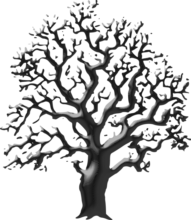 Botany,plant,leaf - Png Black And White Clipart (652x749), Png Download