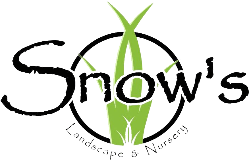 Snowslogo Clipart (907x560), Png Download