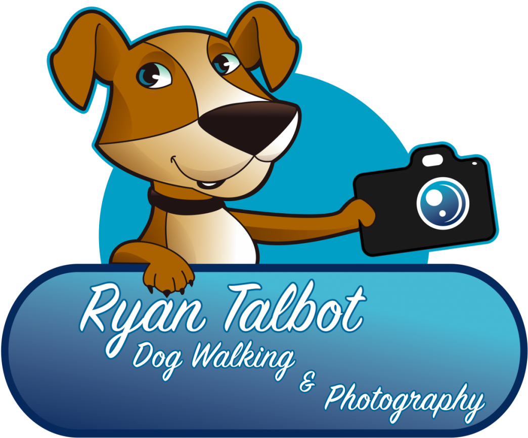 Dog Sitting Services Johns - Dog Walking Clipart (1200x1060), Png Download