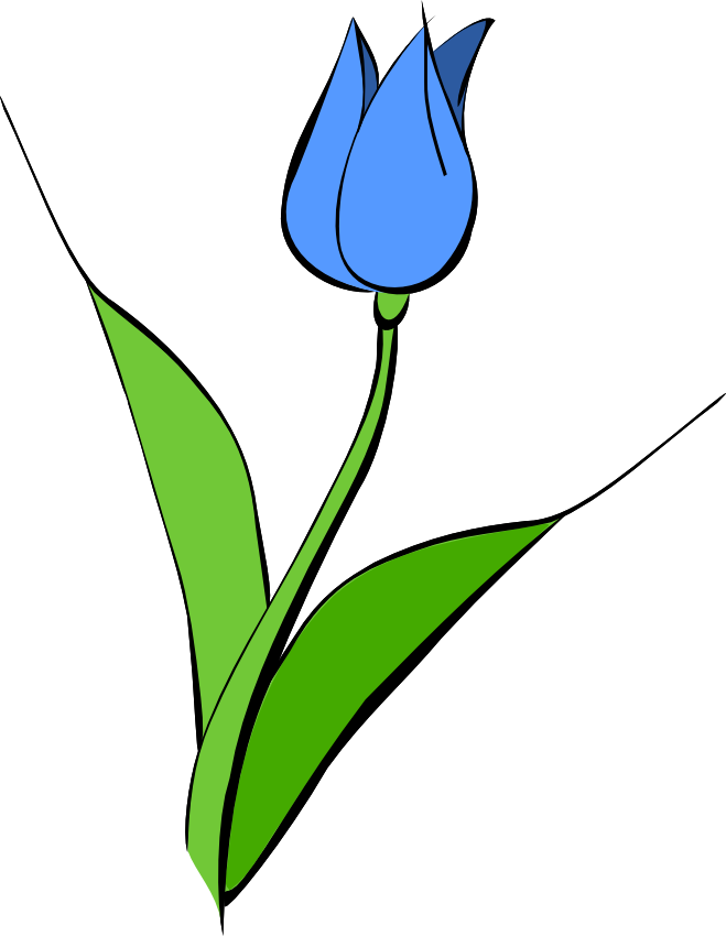 Demo 20clipart - Tulips Clipart - Png Download (659x850), Png Download