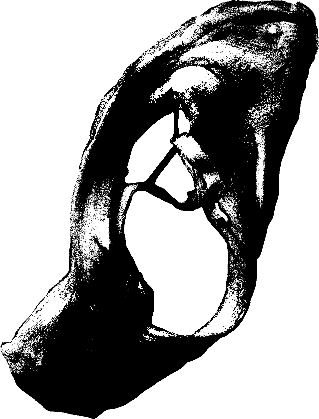 Hybrid Drawing Photography - Illustration Clipart (1800x1800), Png Download