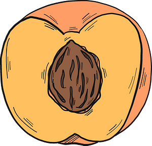 Clip Art - Png Download (300x288), Png Download