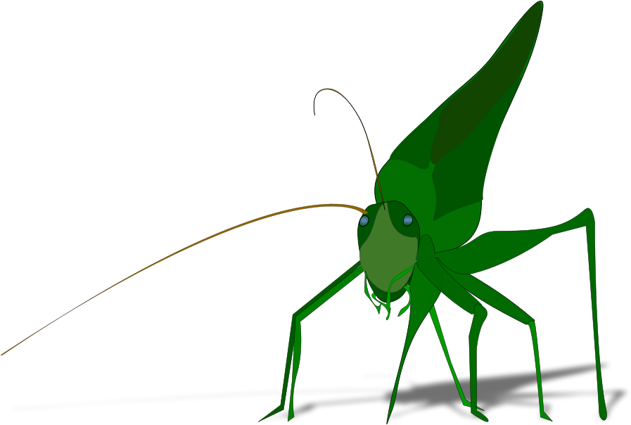 Grasshopper With Shadow Small Clipart 300pixel Size, - Grasshopper Clipart - Png Download (900x625), Png Download