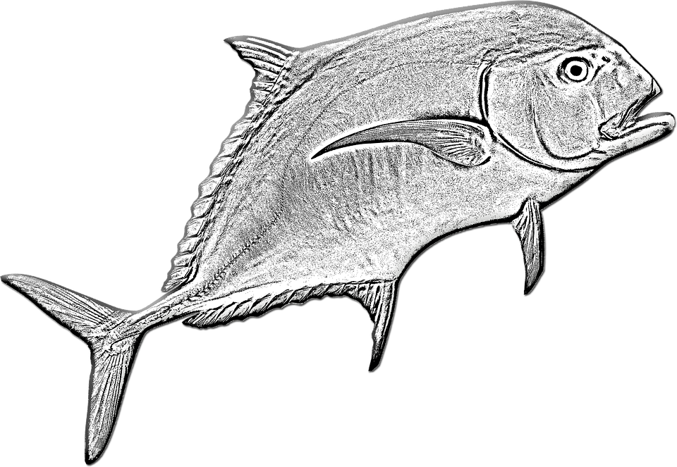Fish Clipart (960x663), Png Download