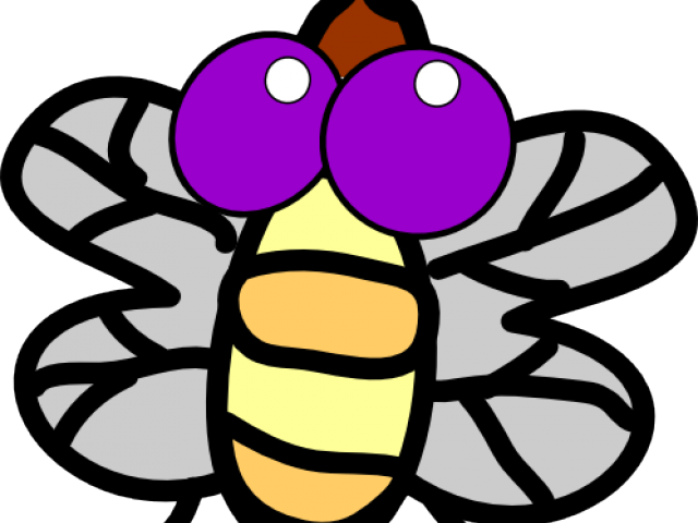Fly Clipart - Png Download (640x480), Png Download